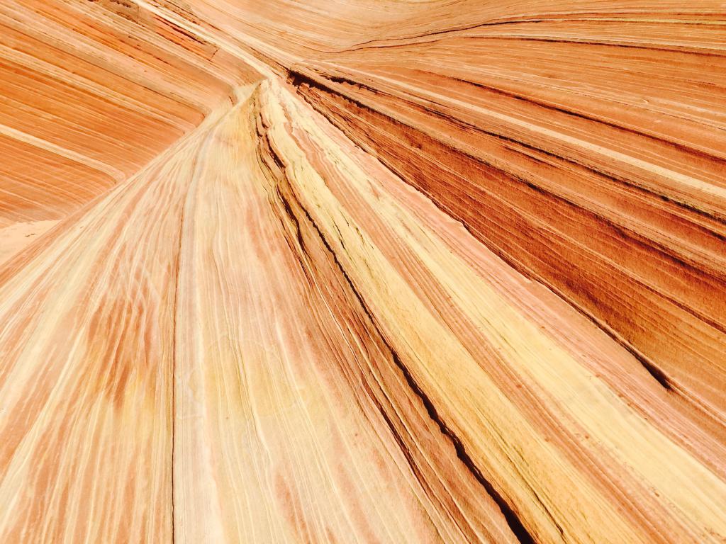 the-wave-arizona-utah-the-art-of-travel-hike-4