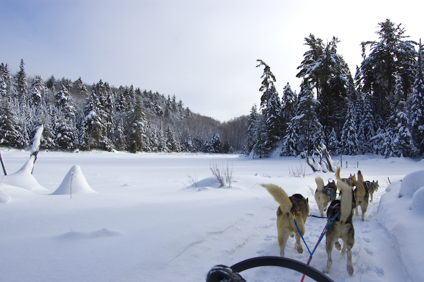 Travel Bucket List The Art of Travel Dog sledding