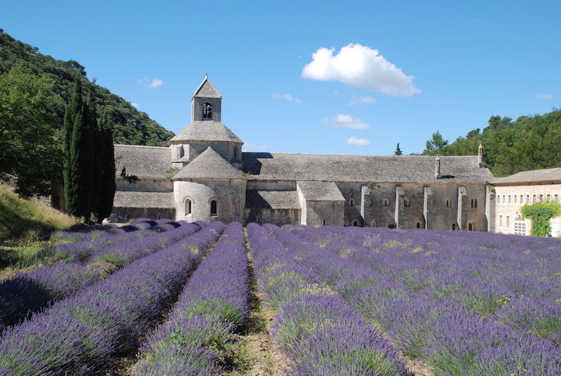 Travel Bucket List The Art of Travel Lavender Field Provence Luberon Sénanque