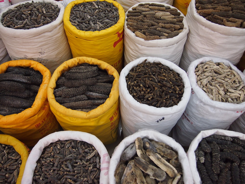 Guangzhou City Guide The Art of Travel Qing Ping Market Dried Sea Cucumber Seafood