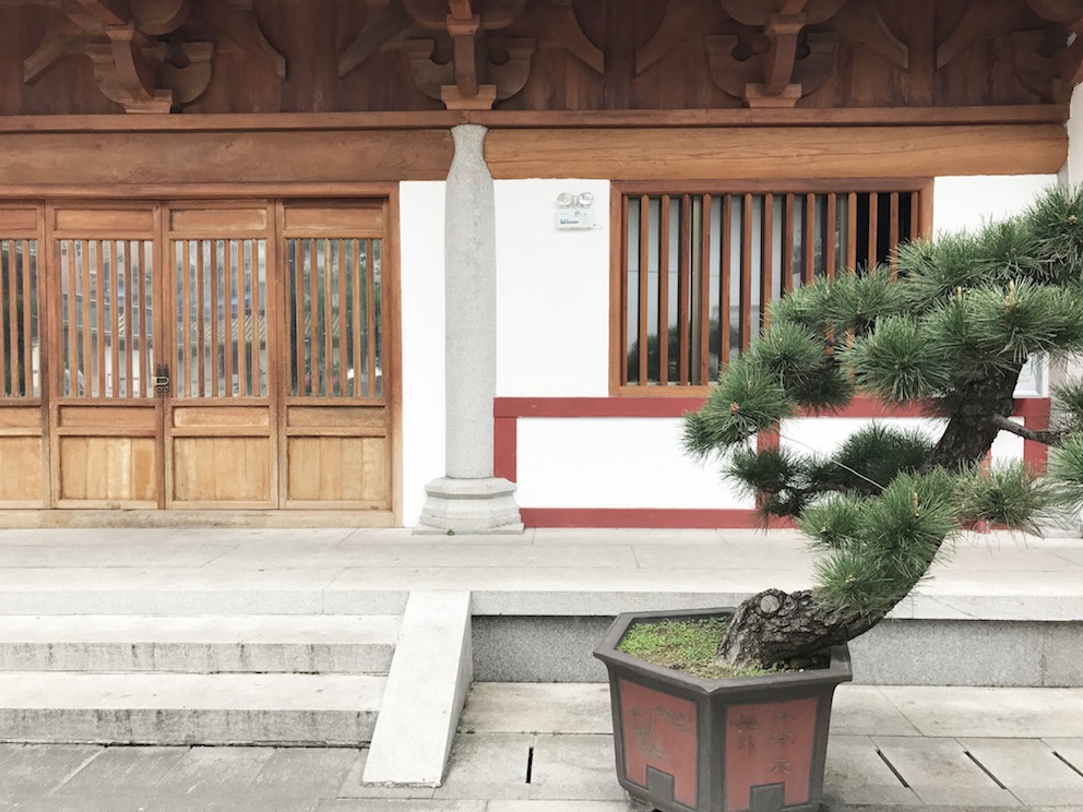 Guangzhou City Guide The Art of Travel Qing Guangxiao Temple Bonsai
