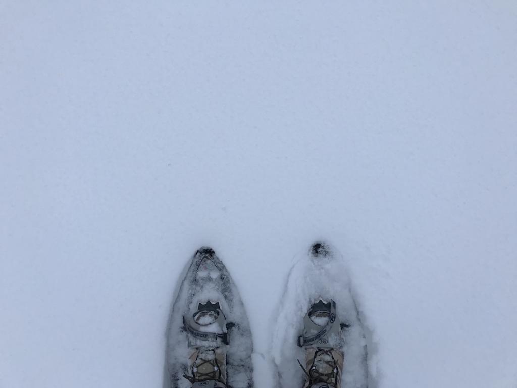 Five Days in Finland The Art of Travel snow shoes