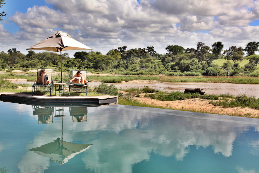 Safari in a private game reserve in South Africa The Art of Travel Mala Mala Game Reserve pool rhinoceros