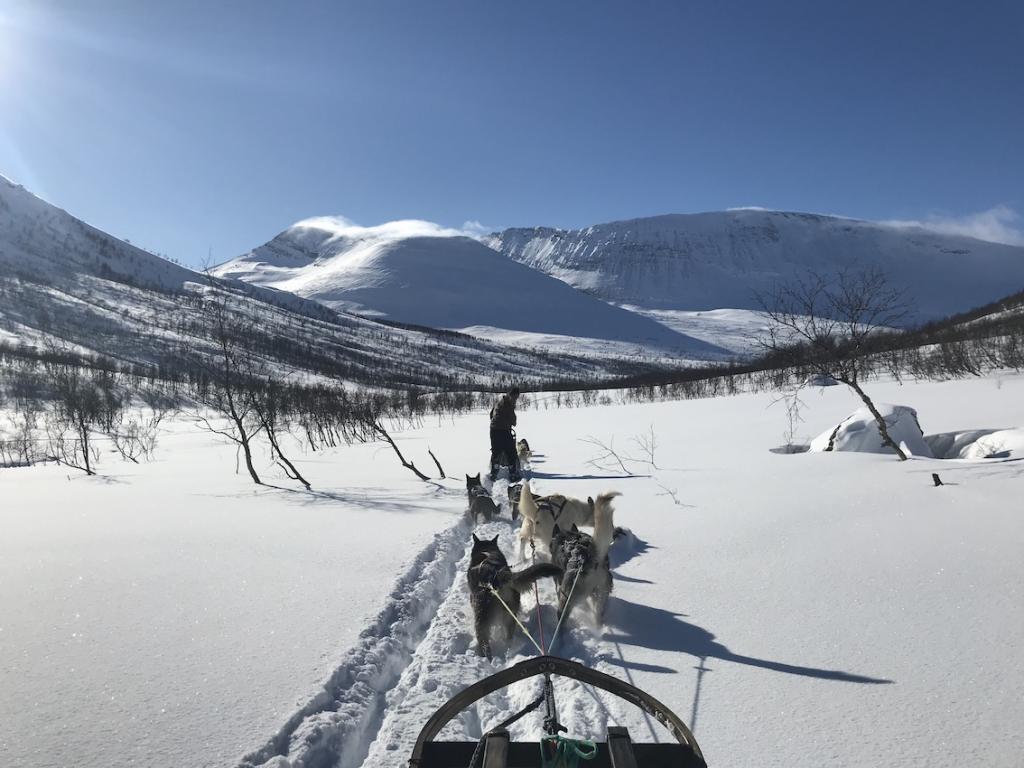 Travel guide to Tromsø in Norway The Art of Travel Dogsledding Mountains