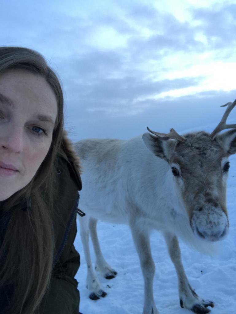 Travel guide to Tromsø in Norway The Art of Travel Reindeer selfie