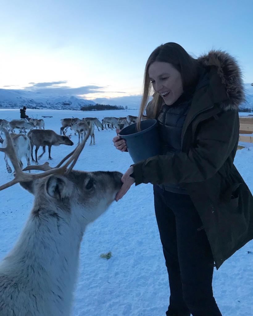 Travel guide to Tromsø in Norway The Art of Travel reindeer feeding
