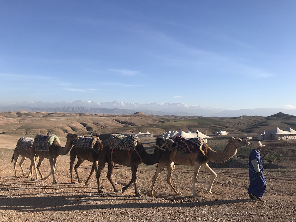 The bedouin camp close to Marrakech in Morocco